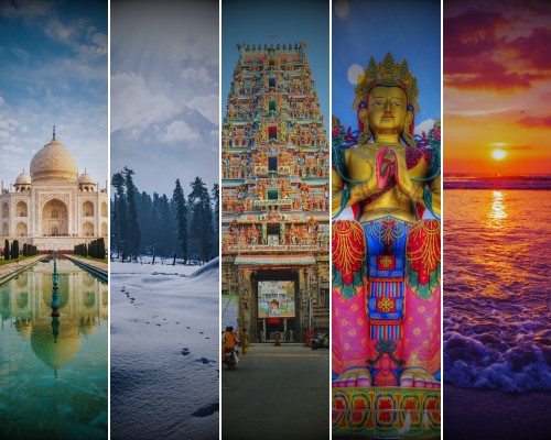 Domestic Tours 