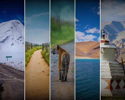 Group Tours