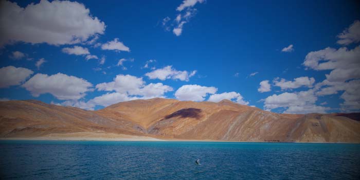 Pangong